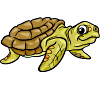 13618530_sea-turtle-animal-cartoon-illustration_s.jpg