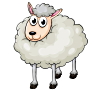 12546628_farm-animals_sheep.jpg