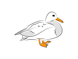 28272566_white-duck-illustration-vector-on-white-background_m.png